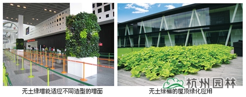 电竞比赛押注app