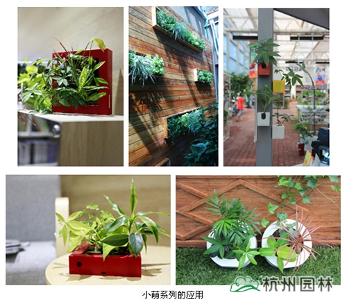 电竞比赛押注app