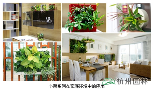 电竞比赛押注app