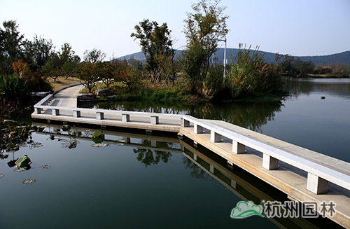 电竞比赛押注app