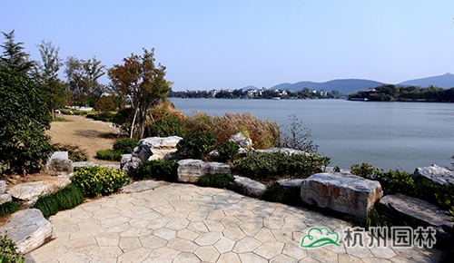 电竞比赛押注app