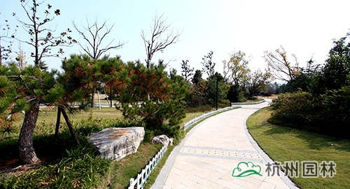 电竞比赛押注app