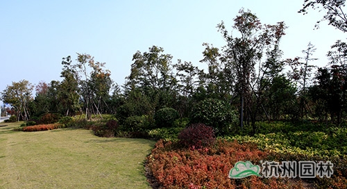 电竞比赛押注app