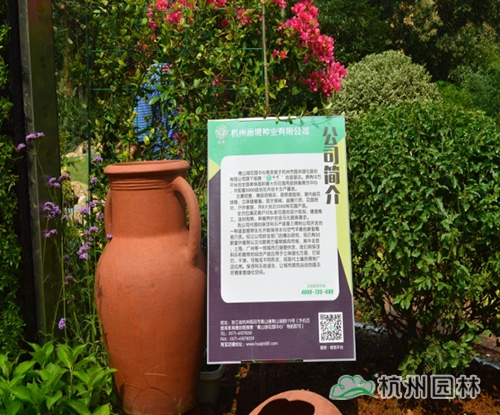 电竞比赛押注app