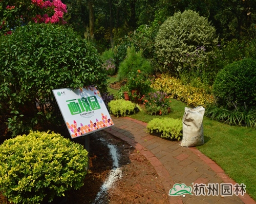 电竞比赛押注app