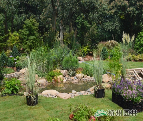 电竞比赛押注app