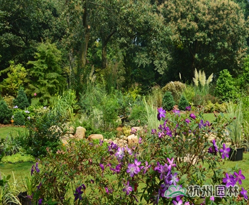 电竞比赛押注app