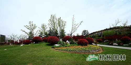 电竞比赛押注app