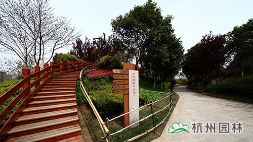 电竞比赛押注app