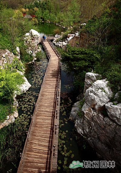 电竞比赛押注app