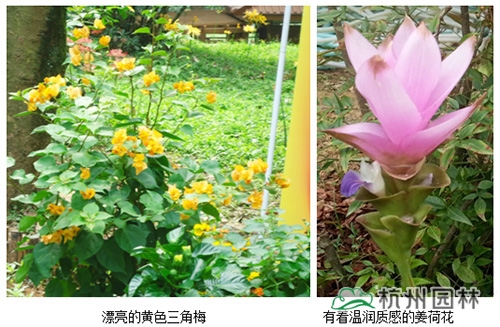 电竞比赛押注app