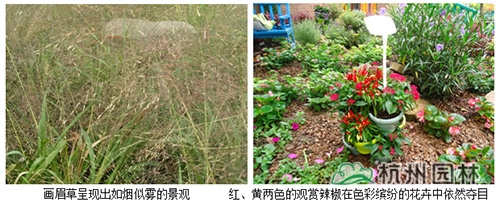 电竞比赛押注app