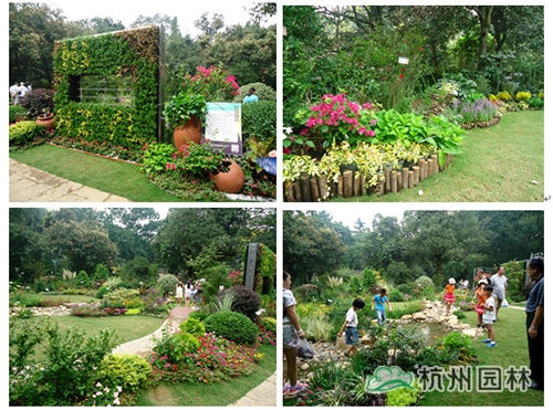 电竞比赛押注app