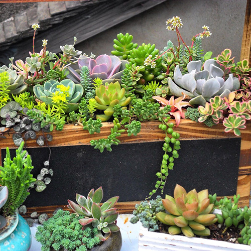 电竞比赛押注app