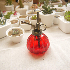 电竞比赛押注app