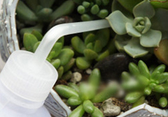 电竞比赛押注app