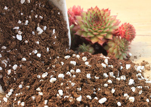 电竞比赛押注app