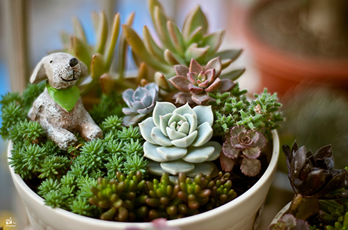 电竞比赛押注app