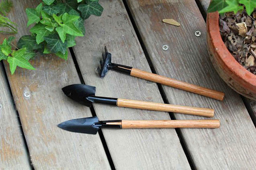 电竞比赛押注app