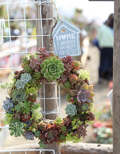 电竞比赛押注app