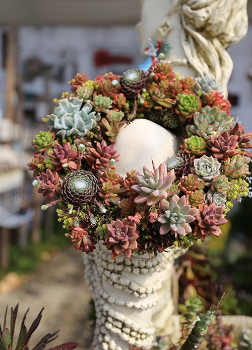 电竞比赛押注app