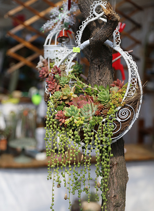 电竞比赛押注app