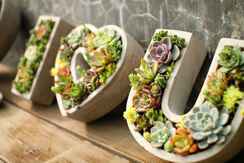 电竞比赛押注app