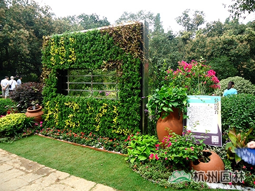 电竞比赛押注app