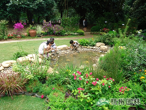 电竞比赛押注app