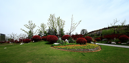 电竞比赛押注app