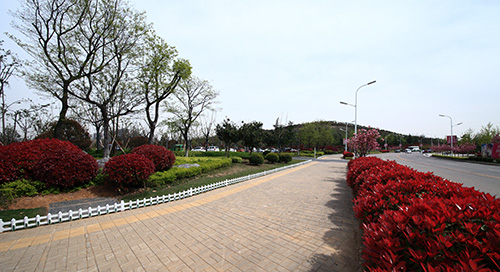 电竞比赛押注app