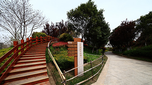 电竞比赛押注app