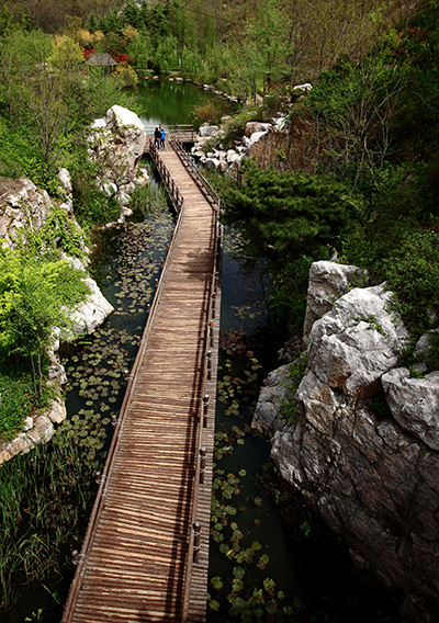电竞比赛押注app