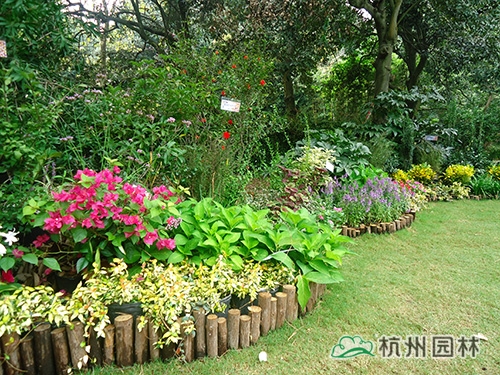 电竞比赛押注app