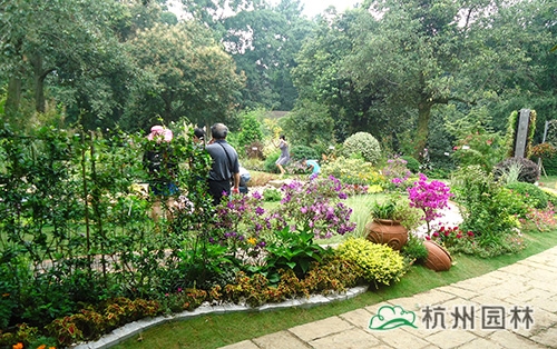 电竞比赛押注app