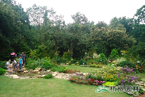 电竞比赛押注app