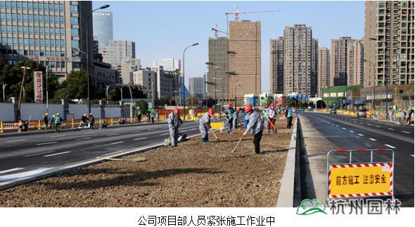 电竞比赛押注app