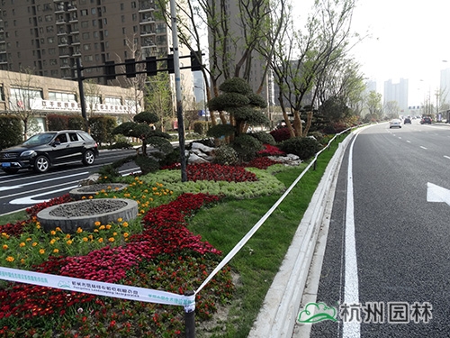 电竞比赛押注app