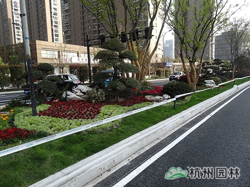 电竞比赛押注app