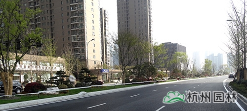 电竞比赛押注app