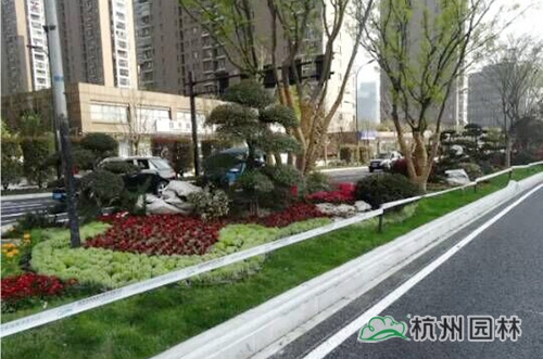 电竞比赛押注app