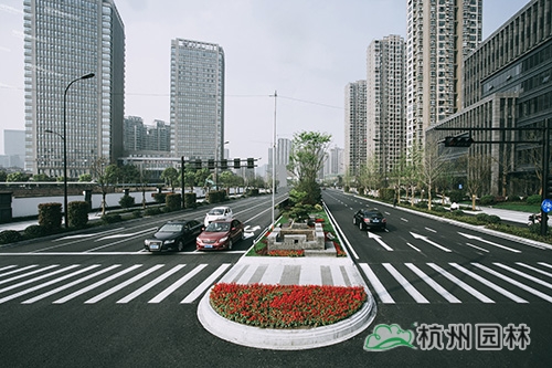 电竞比赛押注app