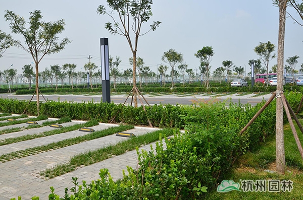 电竞比赛押注app