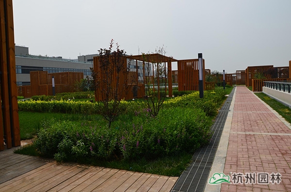 电竞比赛押注app