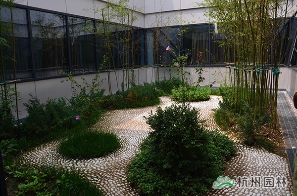 电竞比赛押注app