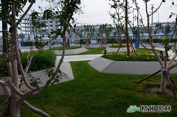 电竞比赛押注app