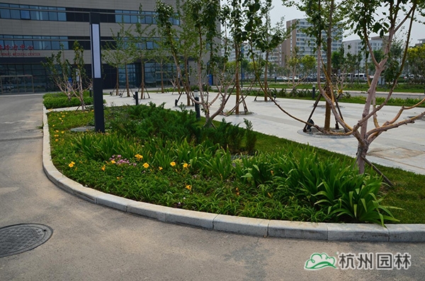 电竞比赛押注app