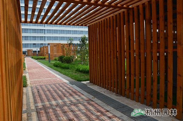 电竞比赛押注app