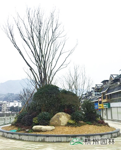 电竞比赛押注app