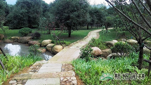 电竞比赛押注app